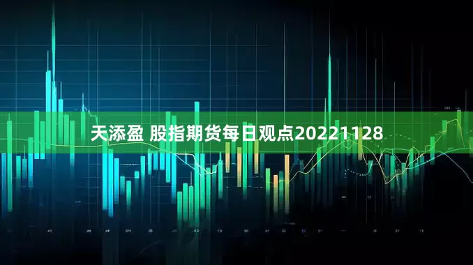 天添盈 股指期货每日观点20221128