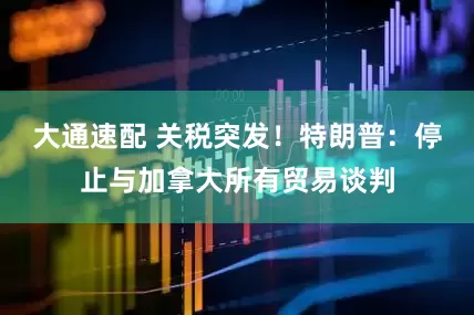 大通速配 关税突发！特朗普：停止与加拿大所有贸易谈判