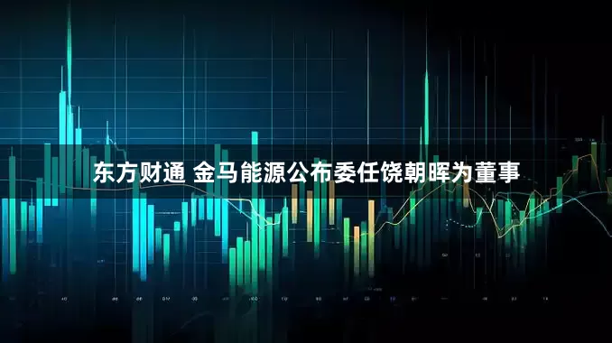 东方财通 金马能源公布委任饶朝晖为董事
